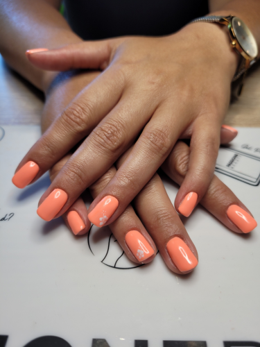 couleur1
